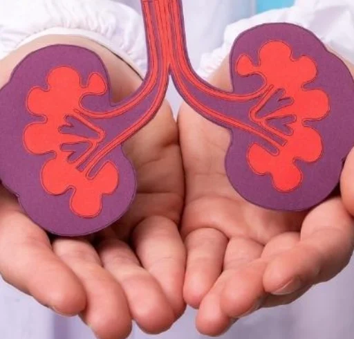بیماری مزمن کلیه یا نارسایی کلیه
