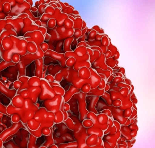hpv