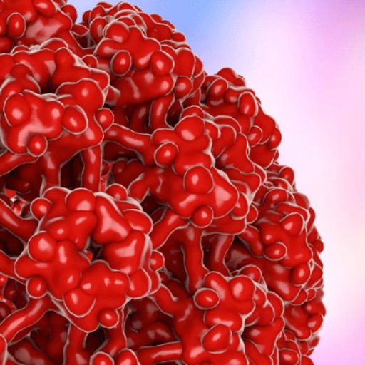زگیل تناسلی (HPV)