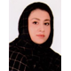 دکتر سیده اسرین رستمی
