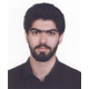 دکتر سیدسینا میری نژاد