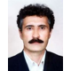 دکتر امیرعلی ذوالفقاریان
