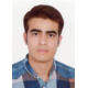 دکتر امید کرمی