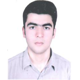 دکتر حمیدرضا زارع مهرجردی