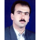 دکتر محمدعلی محمدی مرزونی