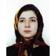 دکتر مولود مصلحی حبیبی
